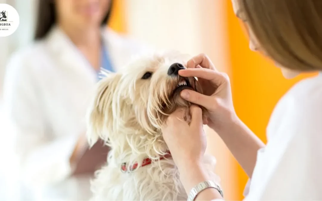 10 โรคที่พบบ่อยในสุนัข