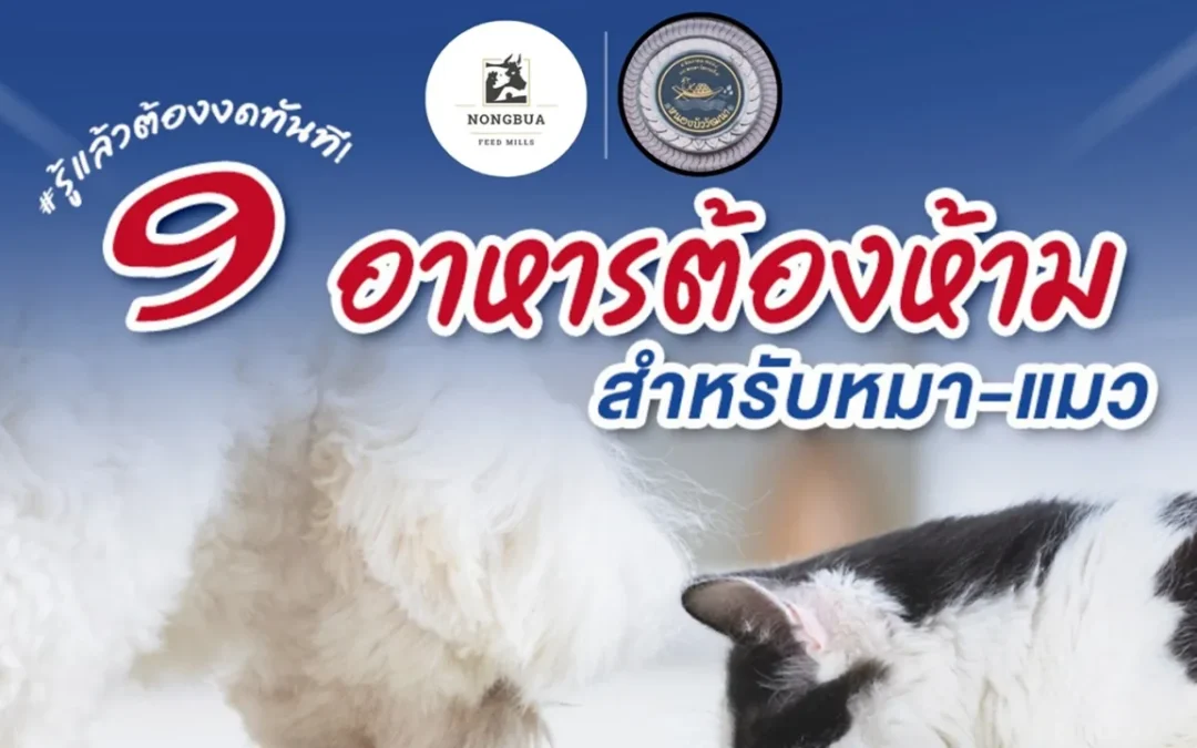 9 อาหารต้องห้ามสำหรับหมา-แมว รู้แล้วต้องงดทันที!